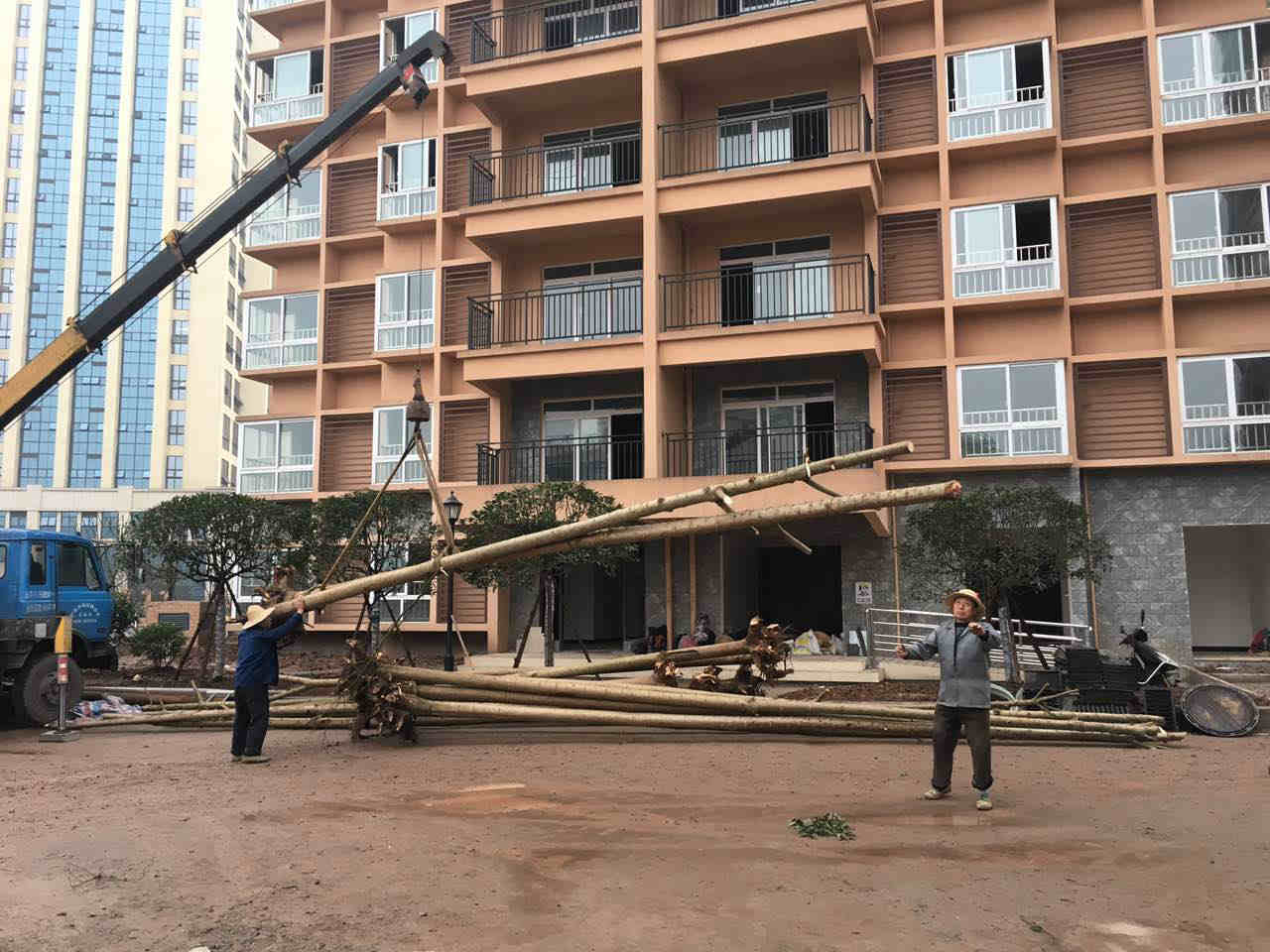 �o���н�ꖅ^�������Uס�����^�G������