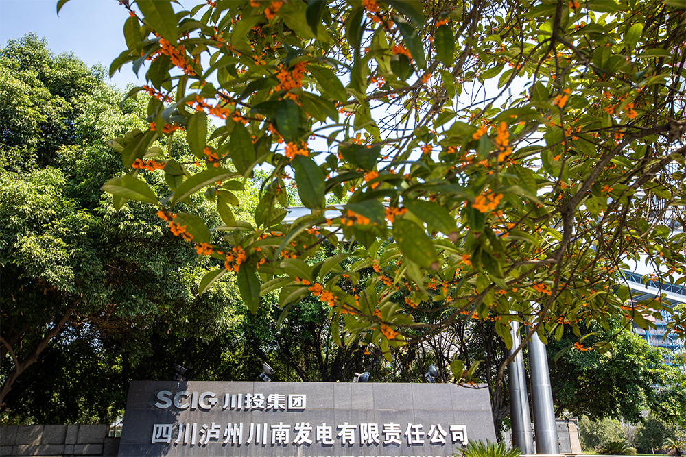 ����늏S�B�o