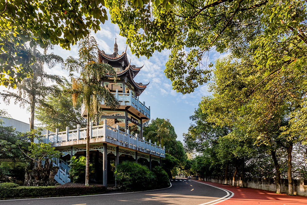 ����WԺ�B�o