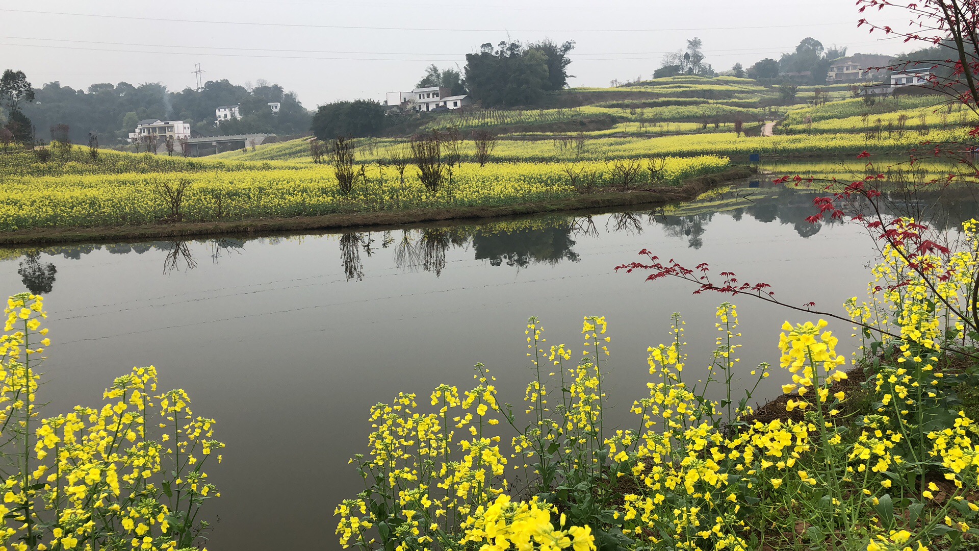 �o���Џ���������һ��]�Ŀ